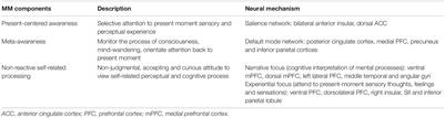 Classification of Mindfulness Meditation and Its Impact on Neural Measures in the Clinical Population